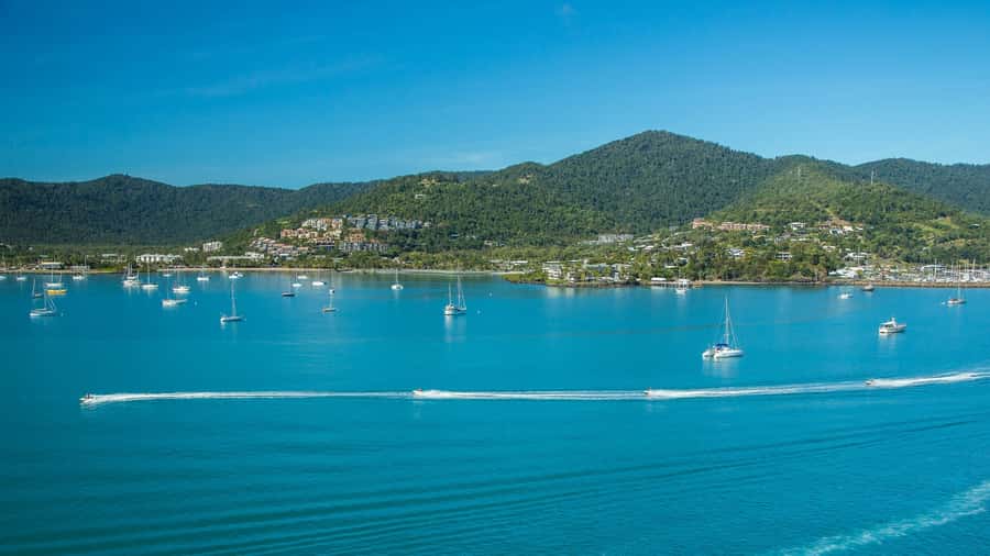 Airlie Beach: Airlie Adventure Jet Ski Tour - Wildlife spotting: turtles, dugongs, and humpbacks (in season)