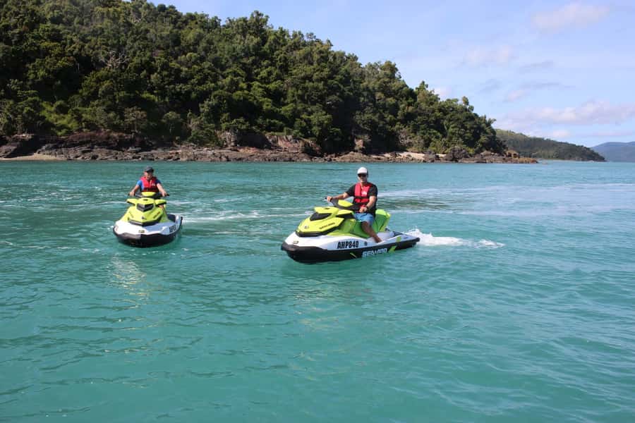 Airlie Beach: Jet Ski Safari Hour of Power and Marine Life - Wildlife You Might See: Turtles, Dugongs, Dolphins, and Winter Whales