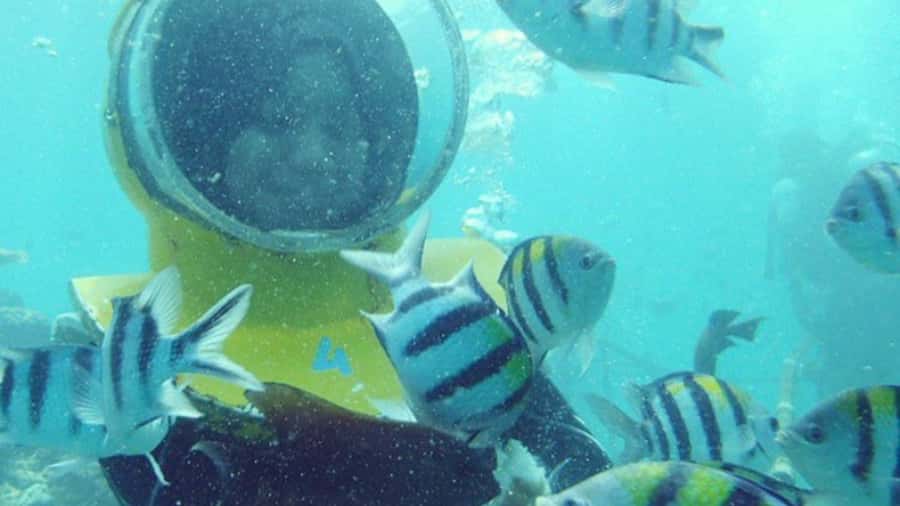 Bali: Sea Walk, Solo Jetski and Parasailing with Pickup - From Hotel Pickup to the Seaside Adventure Hub