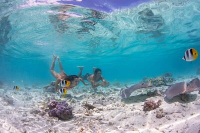 Bora Bora: Jet Ski, Lunch & Shark/ Ray Safari - Lunch at Bloody Mary’s (and what happens during closures)