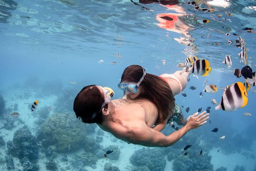 Bora Bora: Jet Ski, Lunch & Shark/ Ray Safari - Who should book this jet ski plus shark and ray combo
