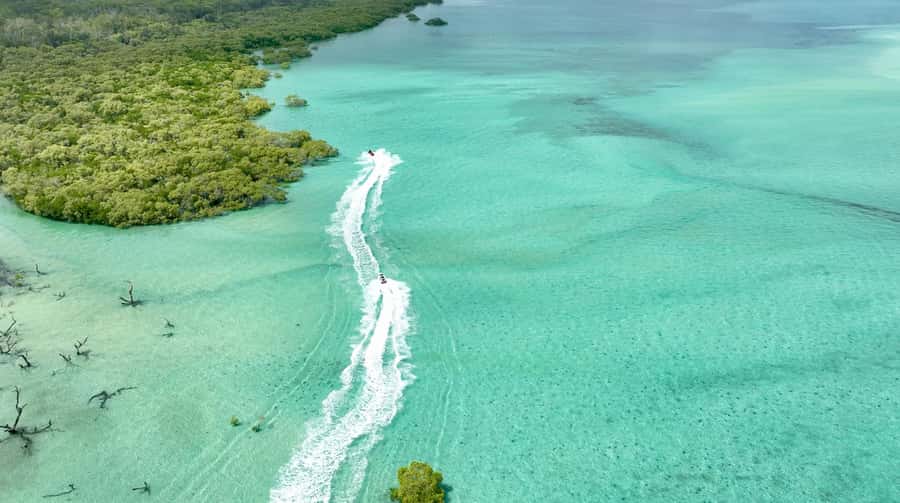 Brisbane: Half-Day Jetski Adventure to Moreton Bay Islands - From Rivergate Marina to the Gateway Bridge: fast, scenic, and hands-on