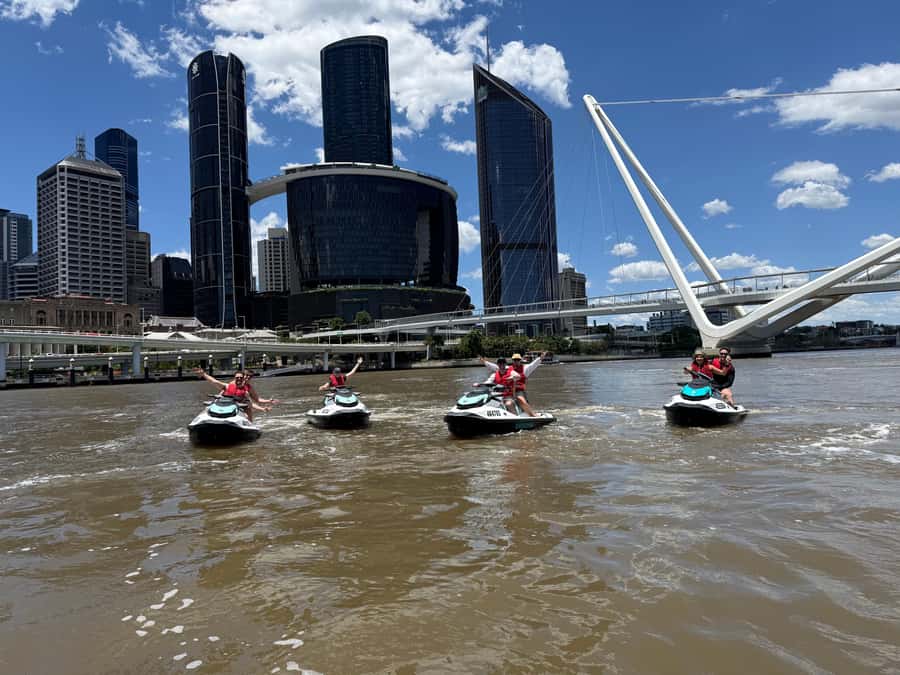 Brisbane River Jet Ski Tour - Marine Life and Islands: What You Might Spot