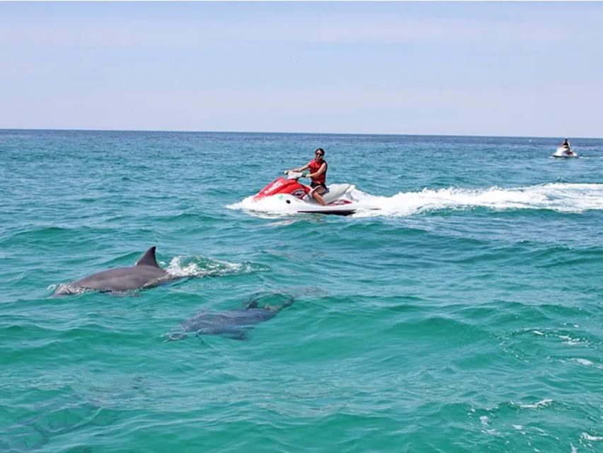 Cape Coral and Fort Myers: Wild Life Jet Ski Tour - Price and Value: How $268 Works for Up to Two