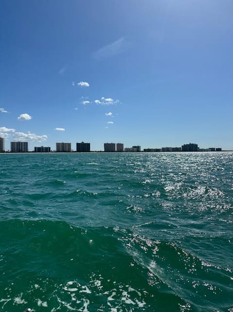 Clearwater: 1 Hour Jetski Dolphin Tour with Guide - FAQ