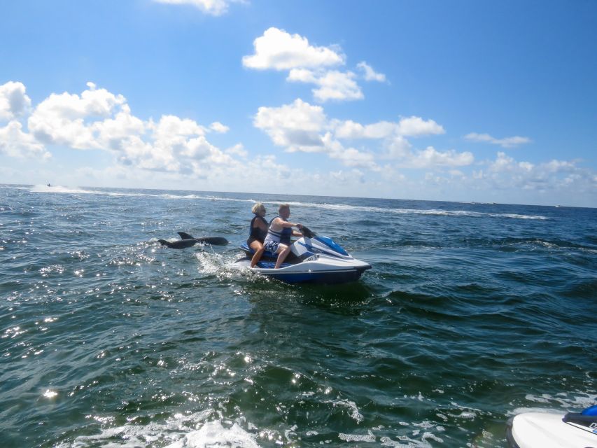 Destin: Crab Island Dolphin Jet Ski Tour - Key Highlights Worth Getting Excited About