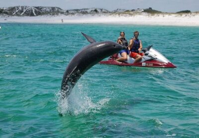 Destin: Crab Island Dolphin Jet Ski Tour - Price and Value: Paying for Two Seats, Not One Person