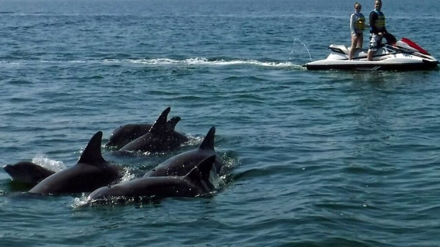 Destin: Crab Island Dolphin Jet Ski Tour - The Ride Plan: Destin Harbor to Santa Rosa Sound (and the Crab Island Area)