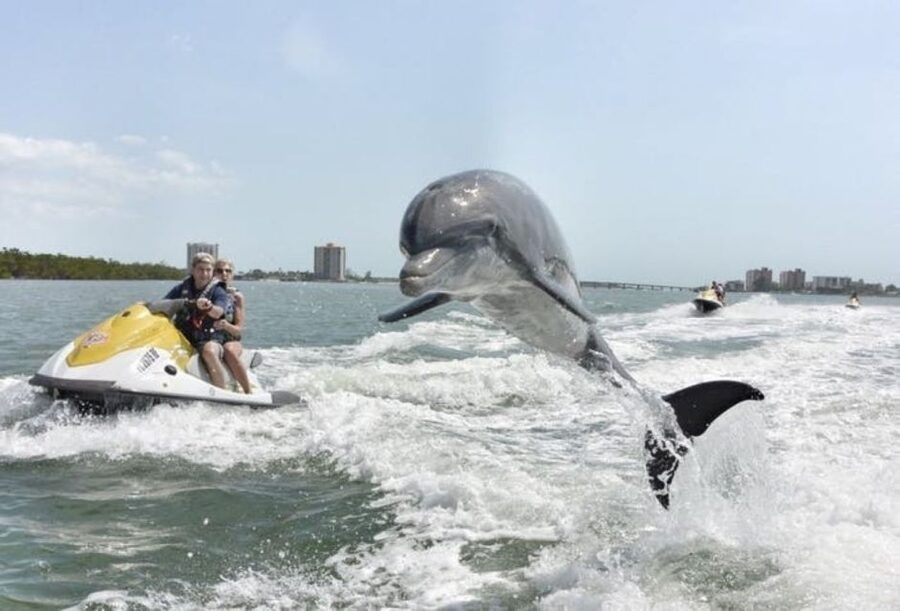 Destin: Crab Island Dolphin Jet Ski Tour - Water Play and Photos: Making the Most of the Time