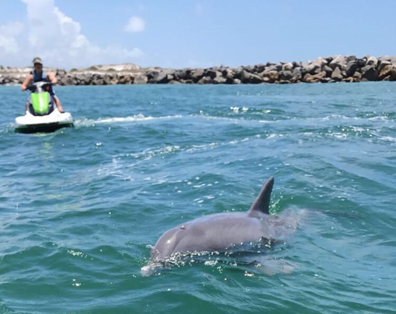 Destin: Crab Island Dolphin Jet Ski Tour - Who This Tour Fits Best (And Who Might Skip It)