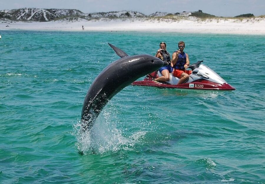 Destin: Crab Island Dolphin Jet Ski Tour - Price and Value: Paying for Two Seats, Not One Person