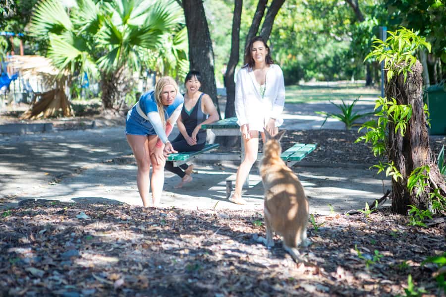 Gold Coast: 1.5-Hour Jet Ski Safari to Stradbroke Island - Key things to know before you go
