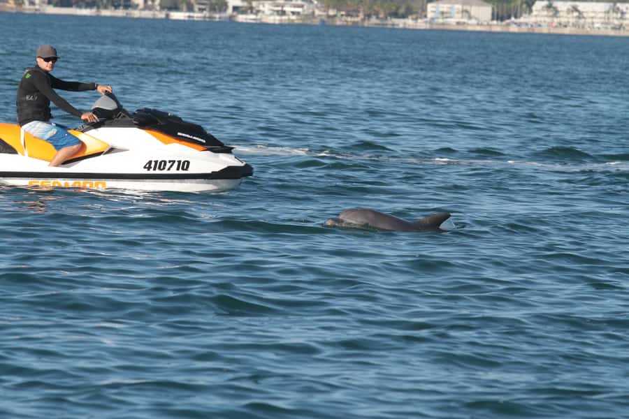 Gold Coast: 30 min Jet Ski Hire - No Slow Zones - Rules that can make or break your ride: English, ages, and waivers