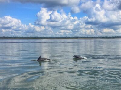 Hilton Head Island: Jet Ski Tour - Where You’ll Meet: Lowcountry Watersports by the Black Marlin Restaurant