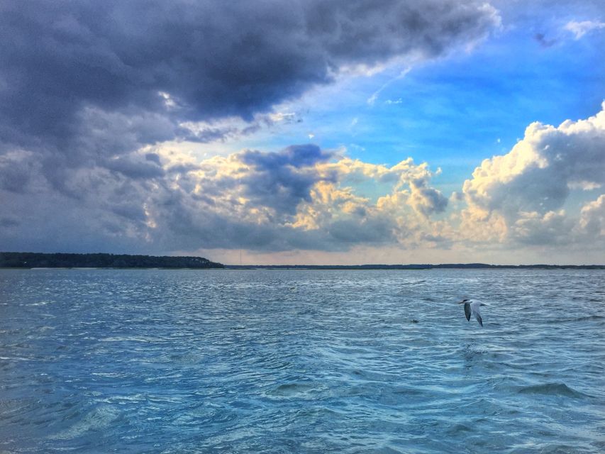 Hilton Head Island: Jet Ski Tour - Wildlife Chances: Dolphins, Birds, and Sea Turtles