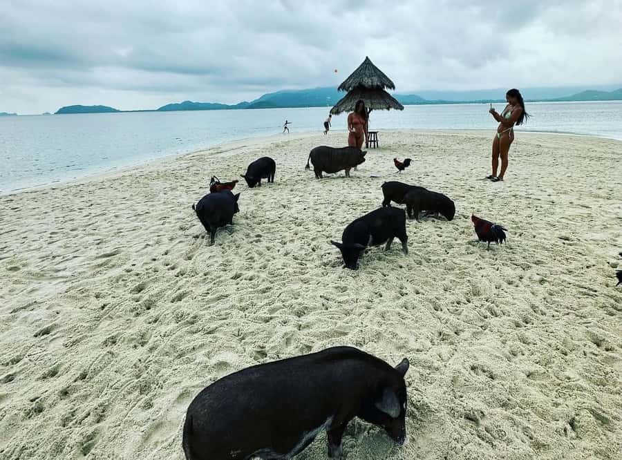 Koh Samui: Jetski Safari, Snorkeling to Pig & Virgin Islands - Jet Ski Comfort and Gear Details That Actually Help