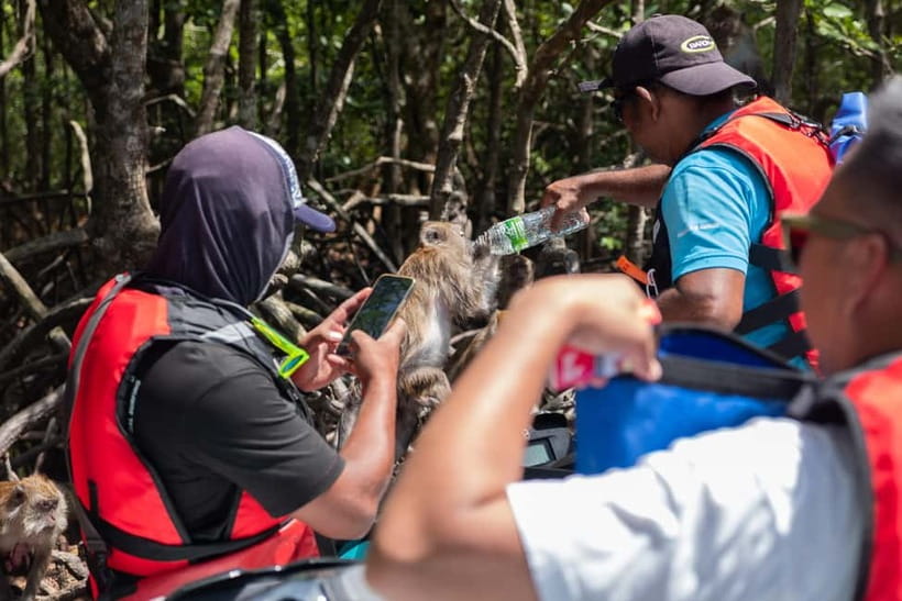 Langkawi: Jet Ski Tour UNESCO Kilim Geopark Free Video - Views of the Andaman Sea: the ending that slows your brain down