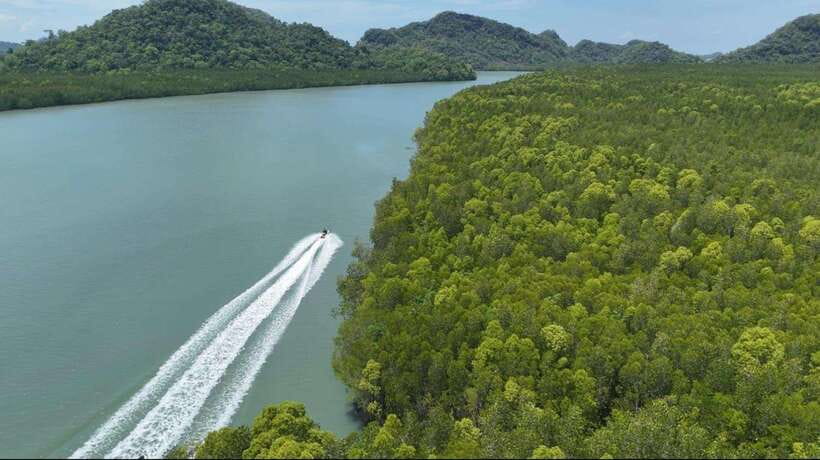 Langkawi: Mangrove Jet Ski Tour with Drone Video - Pulau Singa eagle feeding: the wildlife moment that’s actually the point