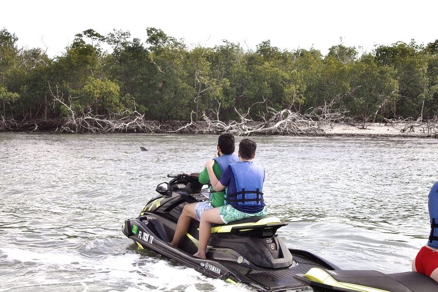 Marco Island: Ten Thousand Island Jet Ski Guided Tour - Wildlife Game Plan: Dolphins, Manatees, and Mangrove Birds