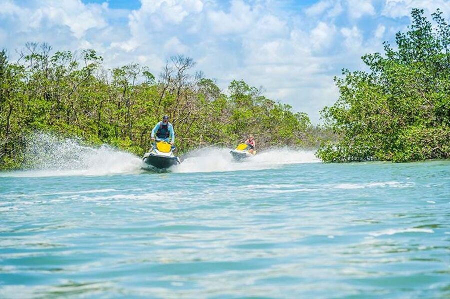 Marco Island: Ten Thousand Island Jet Ski Guided Tour - The Mangrove Ecosystem Up Close: Red Roots, Quiet Channels, Real Adaptations